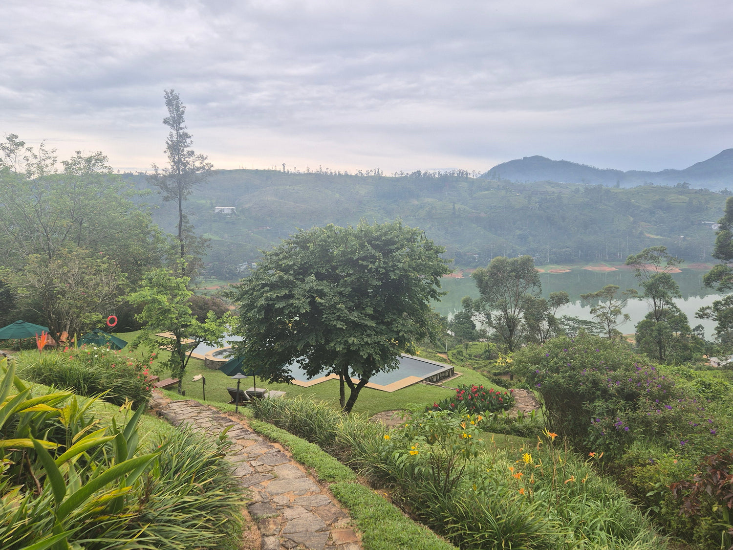 From Tea Lover to Sri Lanka Explorer: Meet One of Our Dilmah's "Win a Trip" Winners