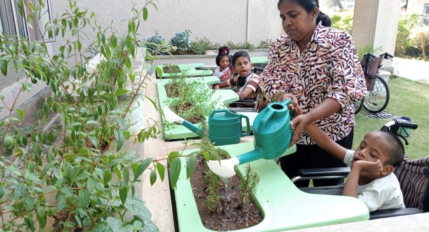 A Garden for Everyone: Growing Inclusion