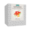 VIVID Tea Selection Infusion Elderflower and Apple Refill 140g Loose Leaf Tea INN