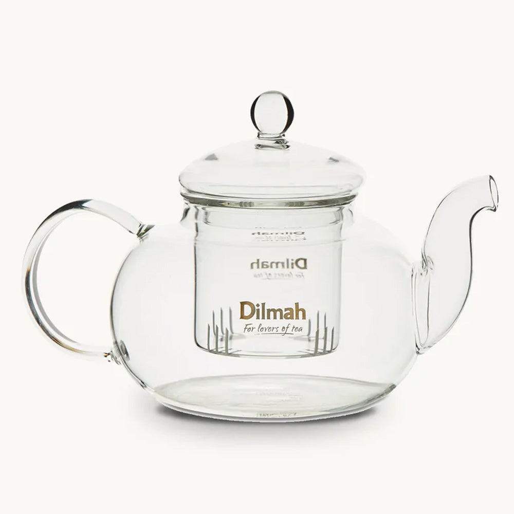 Endane Traditional Glass Tea Pot With Glass Strainer (600ml)