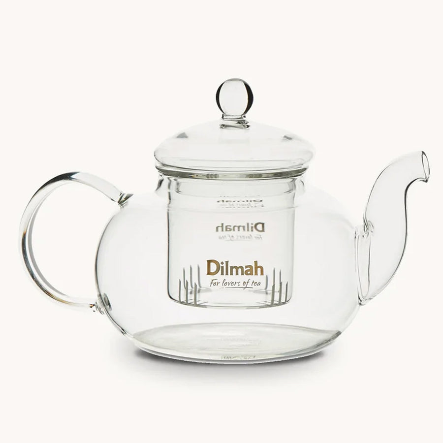 Endane Traditional Glass Tea Pot With Glass Strainer (600ml)