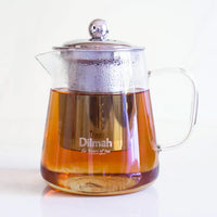 Endane Contemporary Glass Tea Pot With Stainless Steel Strainer (500ml)