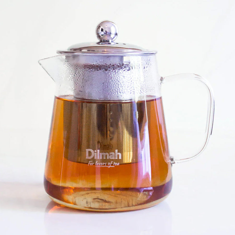 Endane Contemporary Glass Tea Pot With Stainless Steel Strainer (500ml)
