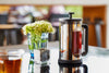 Dilmah Tea Plunger - SILVER