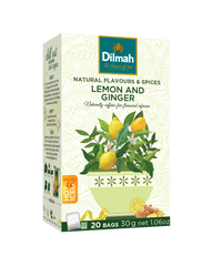 Lemon And Ginger Infusion 20 Tea Bags