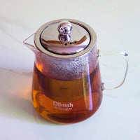 Endane Contemporary Glass Tea Pot With Stainless Steel Strainer (500ml)