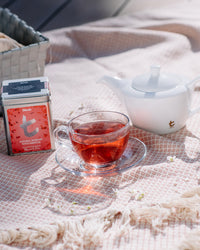 t-Series Box Refill Natural Rosehip with Hibiscus 90g Loose Leaf Tea
