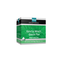 Exceptional Gentle Minty Green Tea 20 Pyramid Tea Bags
