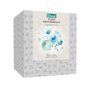 Vivid Refill Box Pure Peppermint Infusion 30g Loose Leaf Tea